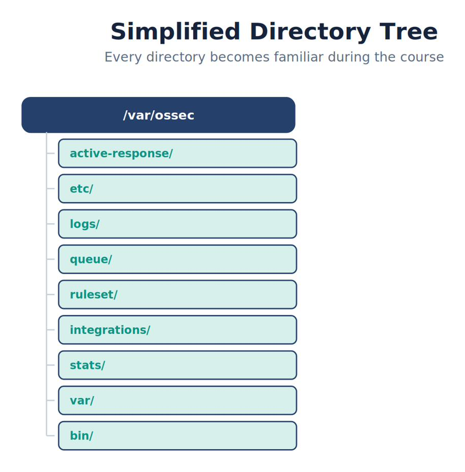 Simplified Directory Tree