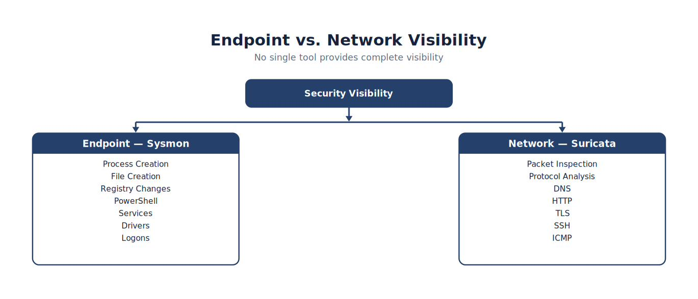 Endpoint vs. Network Visibility