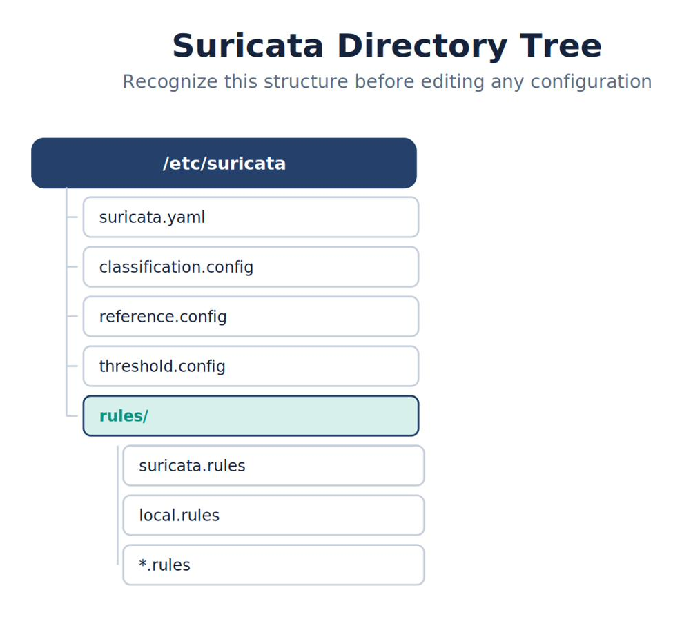 Suricata Directory Tree