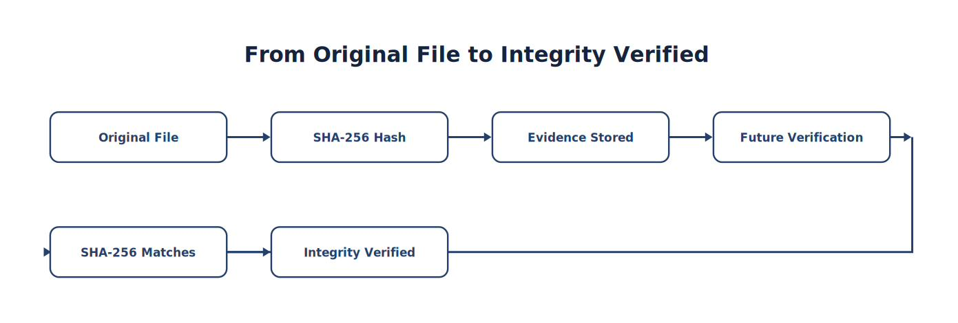 From Original File to Integrity Verified