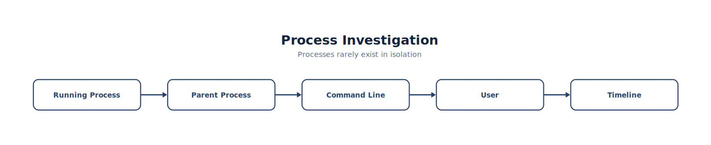 Process Investigation