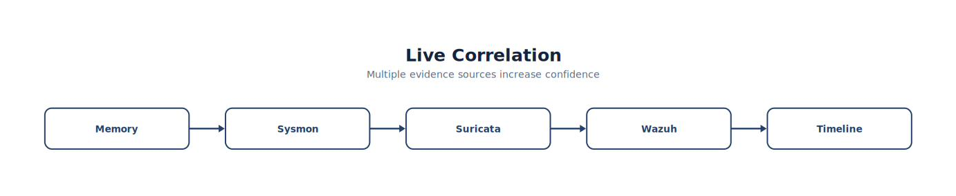 Live Correlation