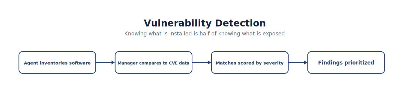 Vulnerability Detection