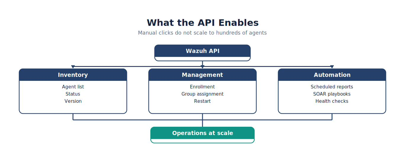 What the API Enables